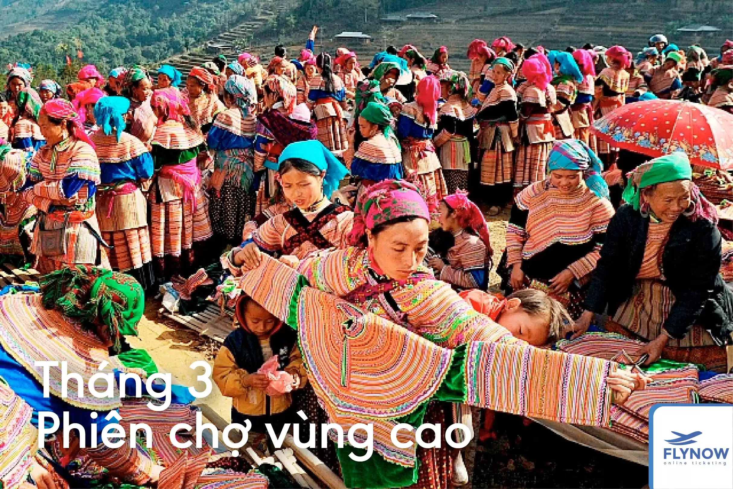 12 tháng ở Sapa