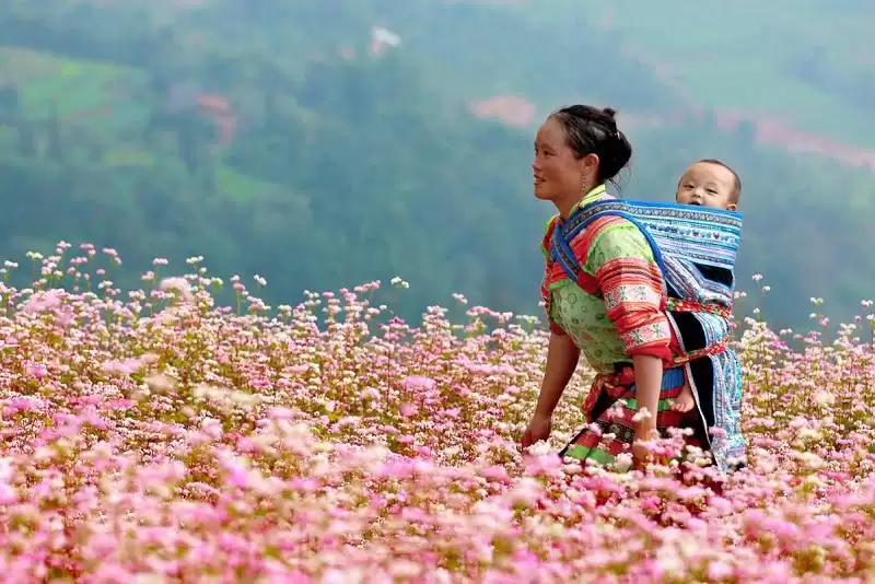 Địa điểm du lịch Hà Giang 18