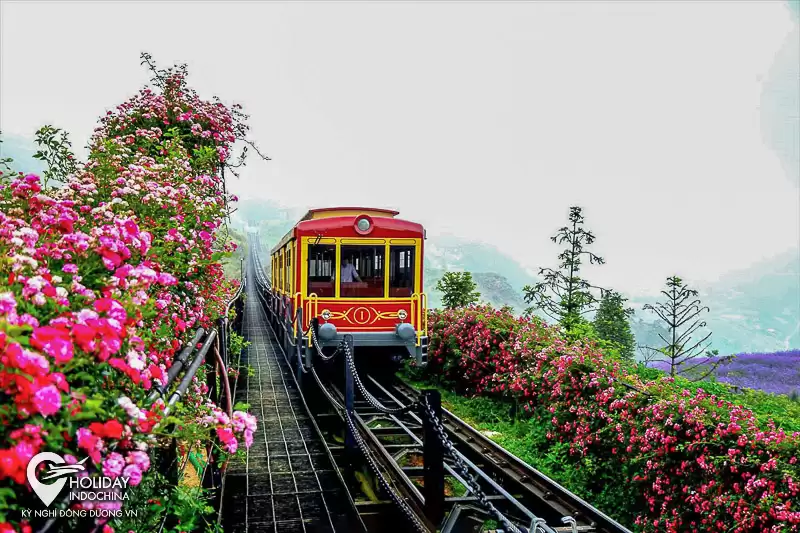 tour hà nội sapa