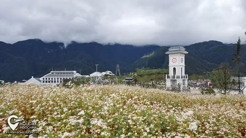 tour du lịch sapa