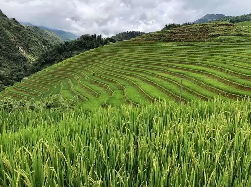 Du lịch Sapa tháng 8 3