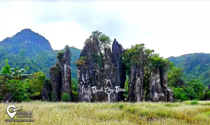 tour hà giang