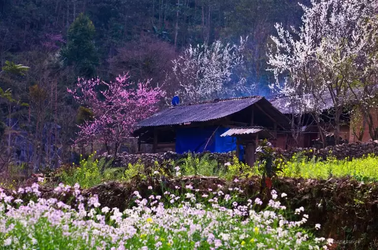 Kinh nghiệm du lịch Hà Giang