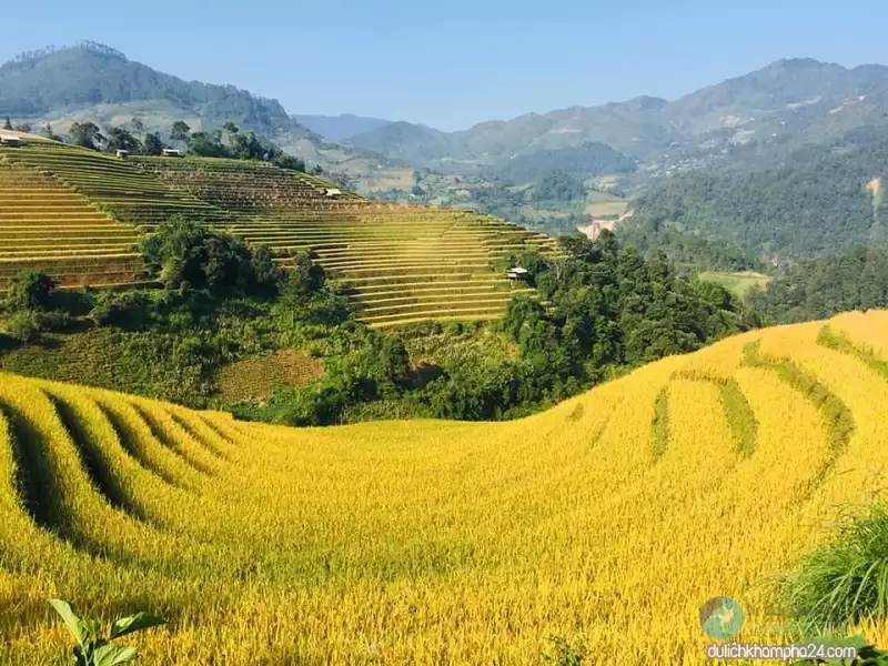 kinh nghiệm du lịch Hà Giang