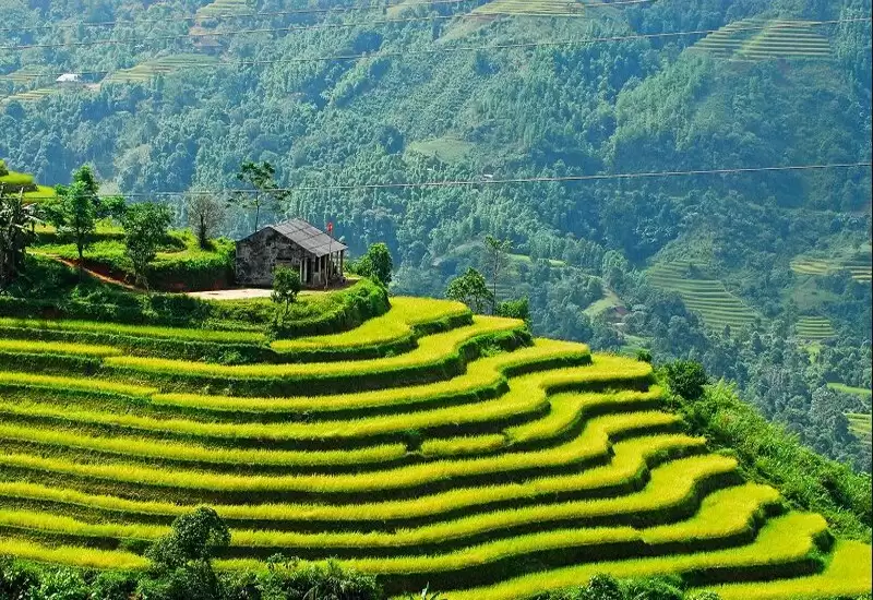 Du lịch Sapa tháng 3